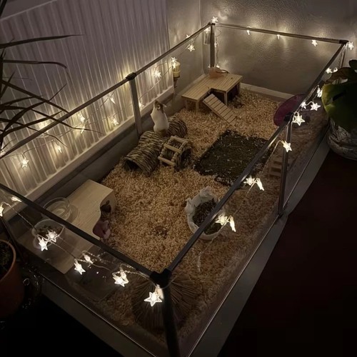 Expand acrylic pet playpen - expand, 6