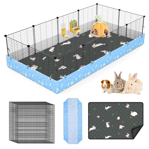 Guinea pig play - pig, pen