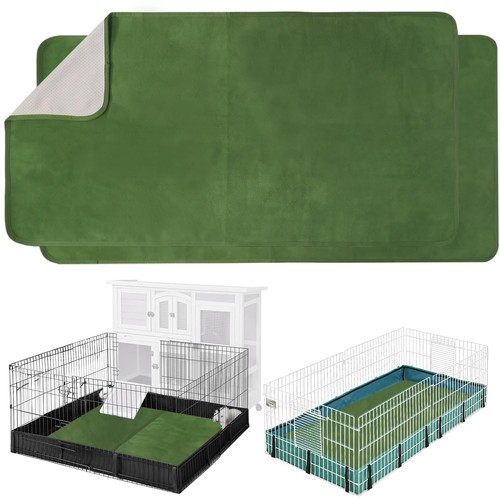 Fulue pack guinea pig - fulue,