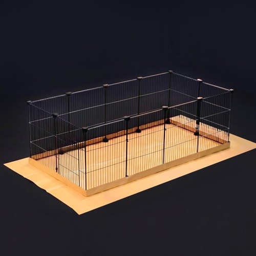 Model guinea pig - model-ab, cage