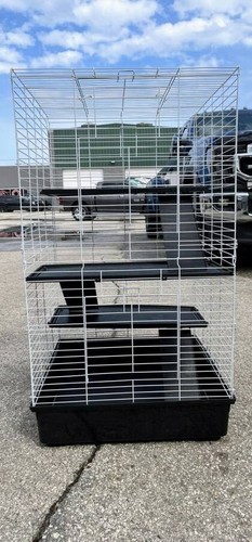 Rabbit chinchilla ferret - chinchilla,