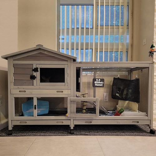Rabbit hutch bunny cage - rabbit,