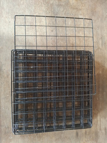 Guinea pig and cage - pig,