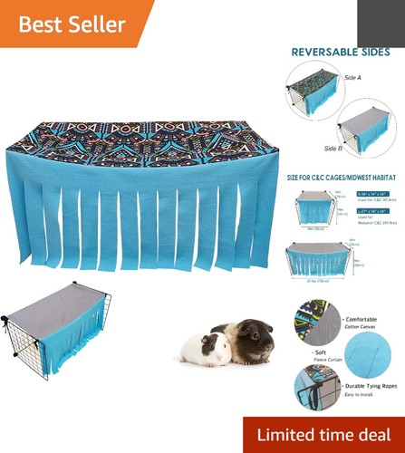 Fashionable blue guinea pig - fashionable,