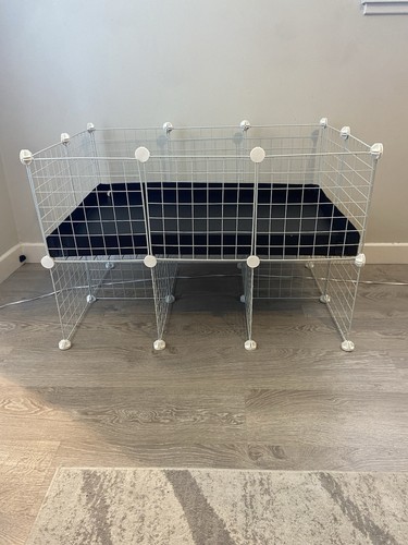 New 3x2 guinea - guinea, pig