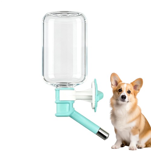 Small animal water bottle - small, for