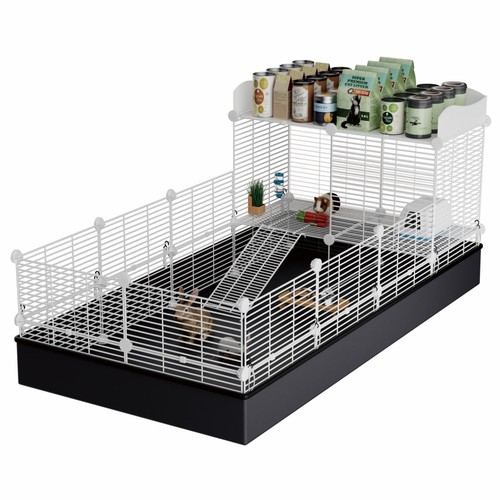 Tier guinea pig - guinea, cages