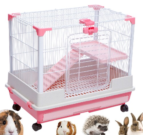 Indoor level guinea pig - indoor, 2-level