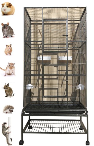 Large levels small animal - x-large,