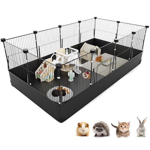 Tresbro guinea pig - tresbro, with