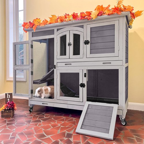 Rabbit hutch indoor - rabbit,