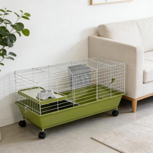 Large spacious small animal - large,