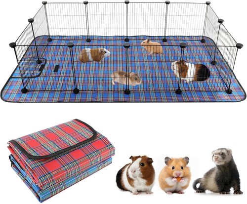 Large guinea pig - large,