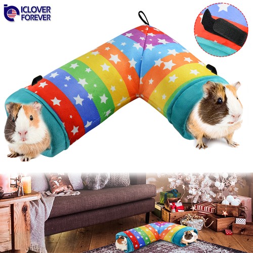 Guinea pig hideout - pig,