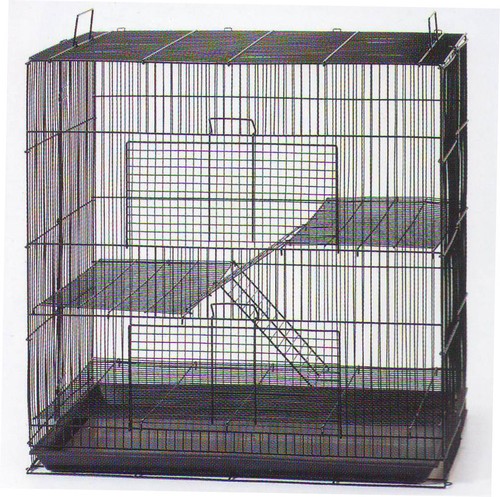 Levels black degu chinchilla - black,