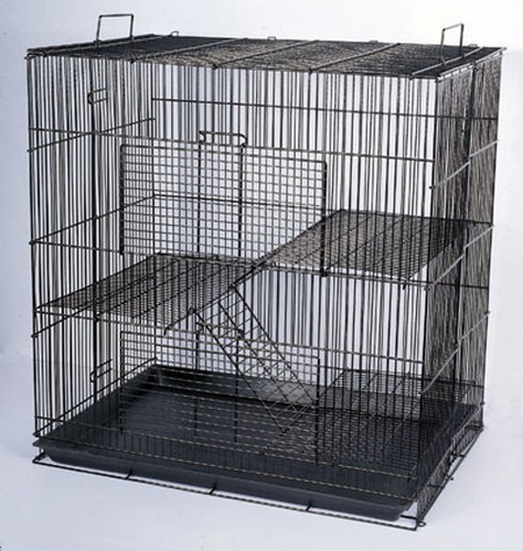 Critter small animal habitat - animal,