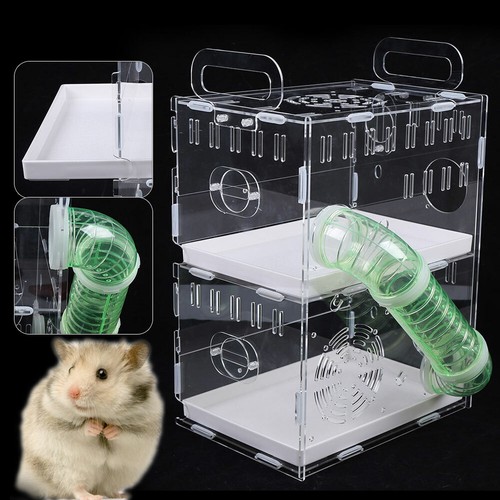 Transparent guinea pig hamster - transparent,