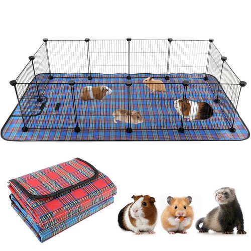 Large guinea pig - pig, cage
