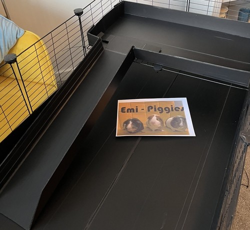 Guinea pig cage - c&c,