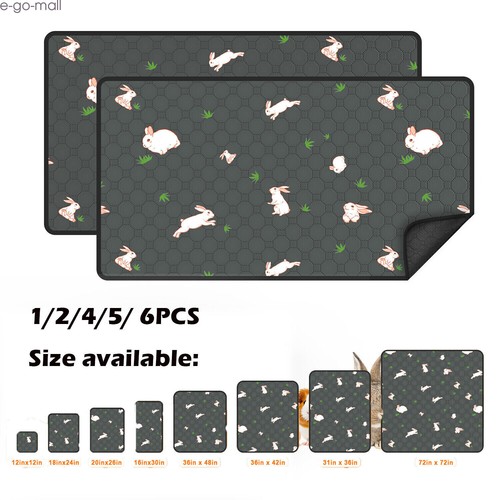 Washable guinea pig cage - guinea,