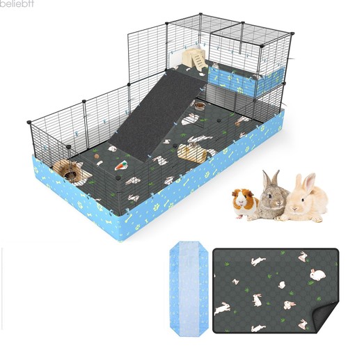 Guinea pig small - guinea,
