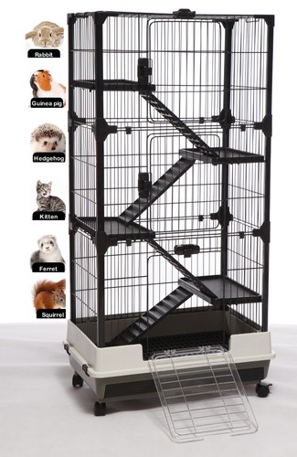 Inch floors indoor guinea - 53-inch, 5-floors