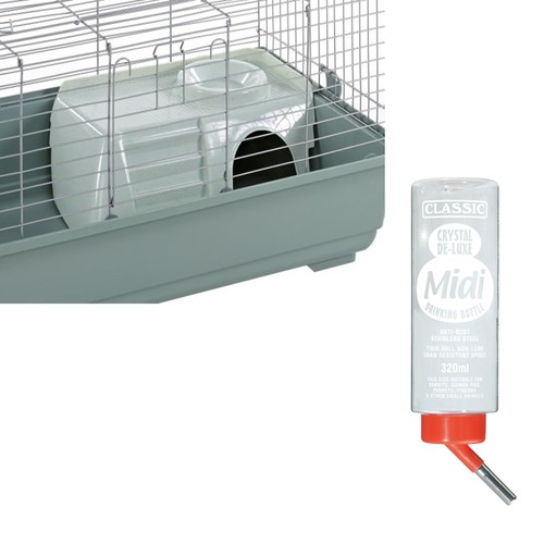 Premium rabbit guinea pig - guinea,
