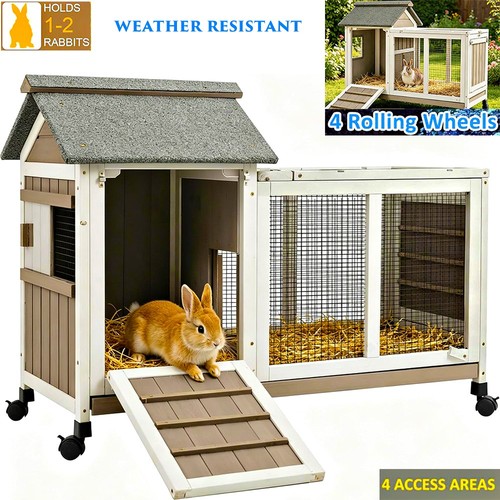 Wooden cage outdoor - outdoor, rabbit