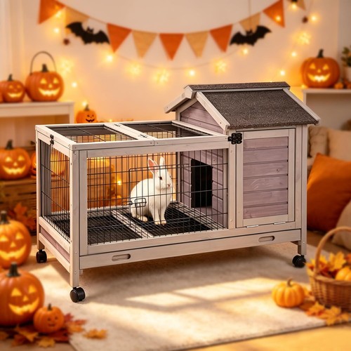 Rabbit hutch wooden indoor - hutch,
