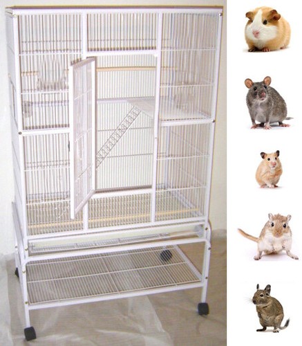 Large 3 levels ferret - 64",