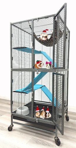 Double unit levels guinea - unit, 4-levels