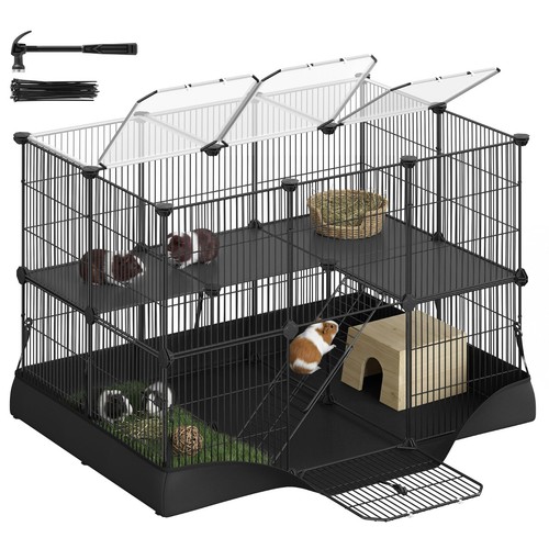 Tier guinea pig - guinea,