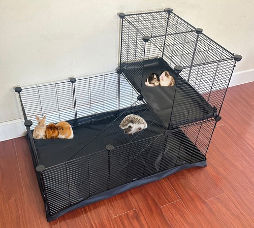 Double tiers large guinea pig - double,