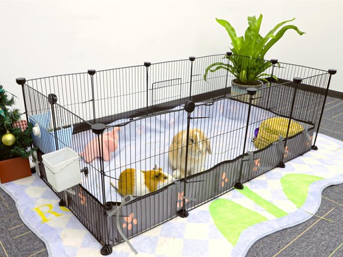 Chegron guinea pig cages - pig, 8