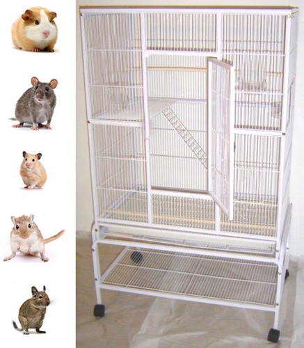 Large 3 levels ferret - 64", x-large