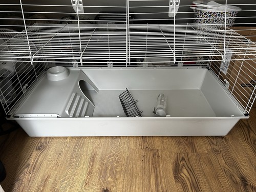 Rabbit guinea pig metal - ,