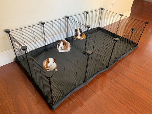 Large guinea pig enclosure - guinea,