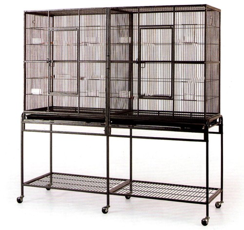 Large double guinea pig - 64",