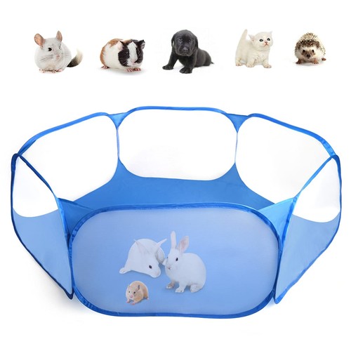Casifor guinea pig - casifor, rabbit