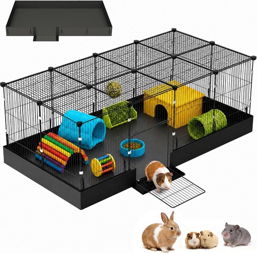Planes guinea pig - 20,