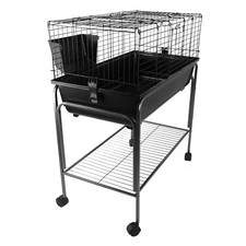 Rabbit Guinea Pig Bunny Extra