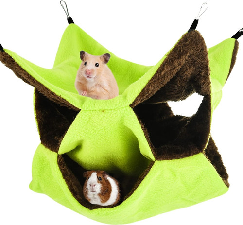 Tier ferret rat - ferret,
