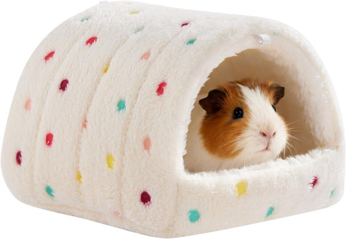Warming guinea pig hideout - guinea,