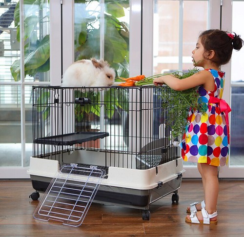 Large indoor 2 - 32", 2-level