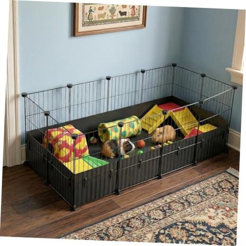 Guinea pig cage small animal - guinea,