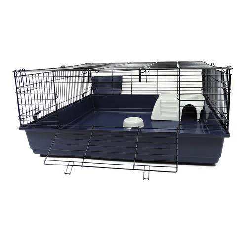Rabbit guinea pig large - rabbit, indoor