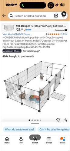 Guinea pig and - c, cage