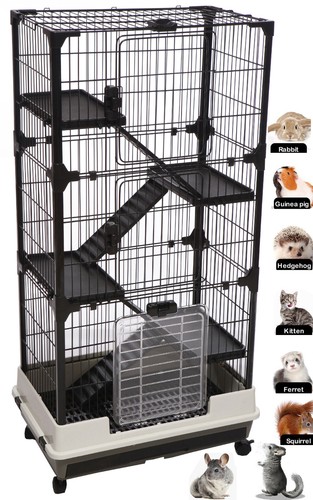 Large indoor levels - x-large,