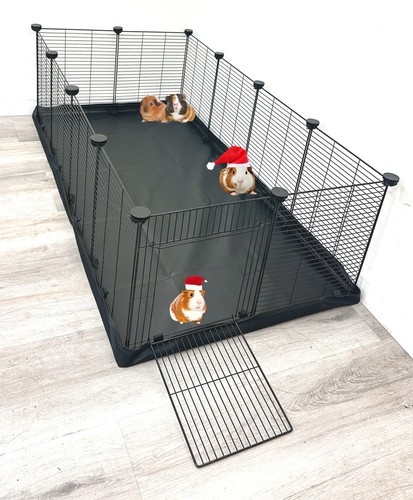 Large guinea pig enclosure - pig,