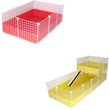 WHITE C&C GUINEA PIG CAVY